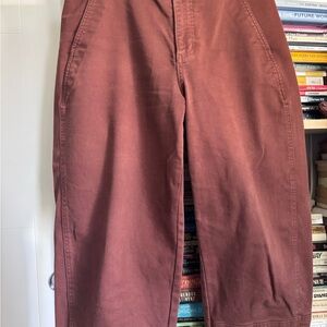 Everlane Women's Burgundy Cargo Pants